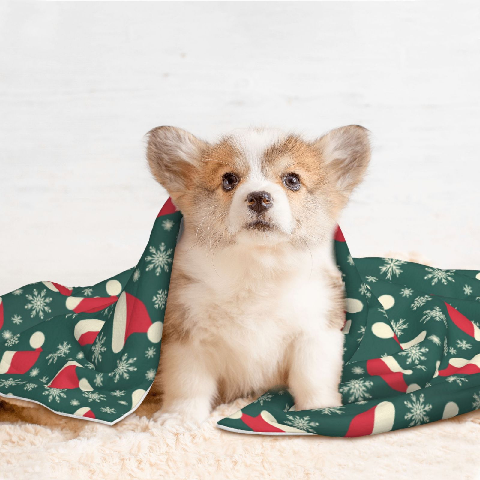 Naloa Santa Hat Joy Green Festive Dog Blanket, 3 Sizes Cat Blanket for Indoor Cats Large Medium Small Dog Gifts-Large
