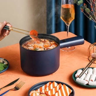 Dezin Hot Pot Electric, Rapid Noodles Cooker, Stainless Steel