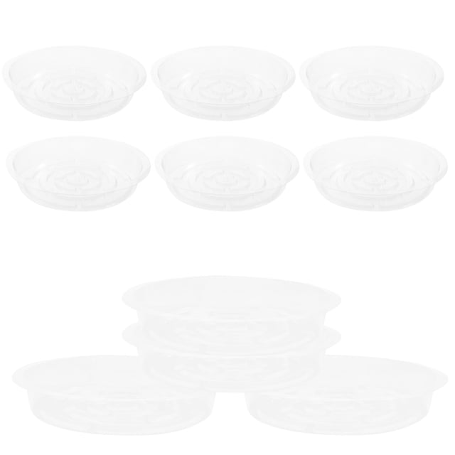 unbranded 10Ud Recolectora De Para Plantas En Transparente Y Resistente