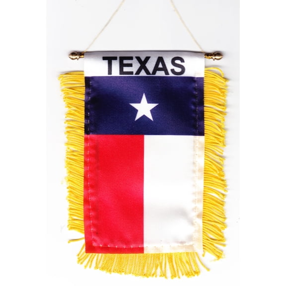 Texas Window Hanging Flag
