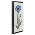 thumbnail image 3 of Stupell Industries Transitional Blooming Blue Poppy Black Floating Frame Canvas Art, 11 x 25, by Elizabeth Medley, 3 of 8