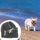 thumbnail image 1 of Gorro de invierno para perro Yinane disfraz sombrero de punto gris, 1 of 8