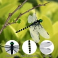 thumbnail image 6 of Pekkaxy Realistic Dragonfly Insect Repellent, 5.5 inch Wingspan, Natural Pest Control Without Chemicals, Ideal for Camping, Fishing, and Garden Protection, 6 of 9