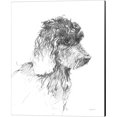 thumbnail image 3 of Great Art Now Goldendoodle, Labradoodle & Yorkshire Terrier Sketch by Avery Tillmon 3 Piece Canvas Art Set Each 12W x 15H, 3 of 4