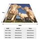 thumbnail image 3 of Balery Cows Cattles Manta de Felpa Suave y Acogedora – Cobija de Franela Aterciopelada para Cama, Lavable y Cálida para Sofá, Mascotas, Transpirable-50"x40", 3 of 7