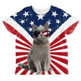 thumbnail image 1 of 4th Of July Meowica America Patriot Cat All Over Toddler T Shirt Multi 6T, 1 of 2