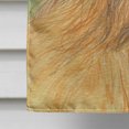 thumbnail image 4 of Carolines Treasures SS8318CHF Briard Flag Canvas - House Size, 4 of 4