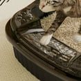 thumbnail image 6 of 2025 Eco-Friendly Litter Box - Extra Large Open Design for Senior & Overweight Cats | Veterinarian Recommended with Odor Control Technology, 6 of 6