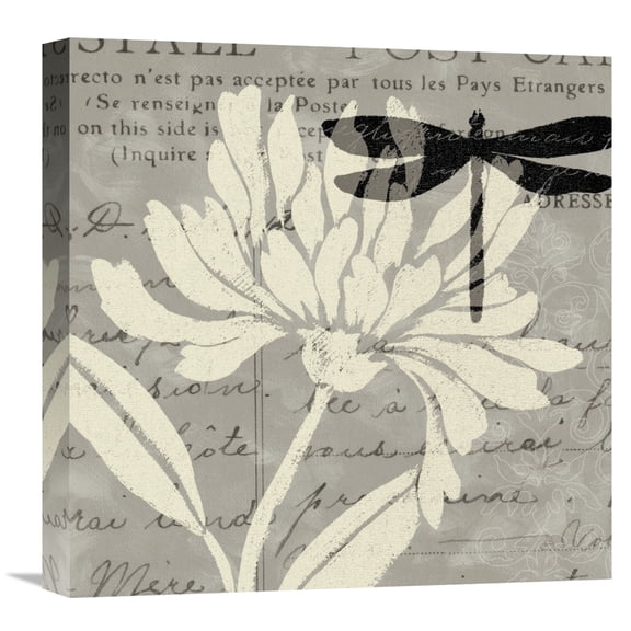 Global Gallery Daphne Brissonnet 'Natural Prints II' Canvas Wall Art