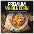 thumbnail image 5 of Sun Joe Whole Corn Feed for Deer, Bird, Squirrel, Chicken and Wildlife Feeder, 50 lb Bag, 5 of 11