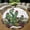 Cactus, variant on Round Area Rug, Desert Art Design Non-Slip Floor Mat, Soft Washable Carpet for Living Room Bedroom Decor 24 Inch
