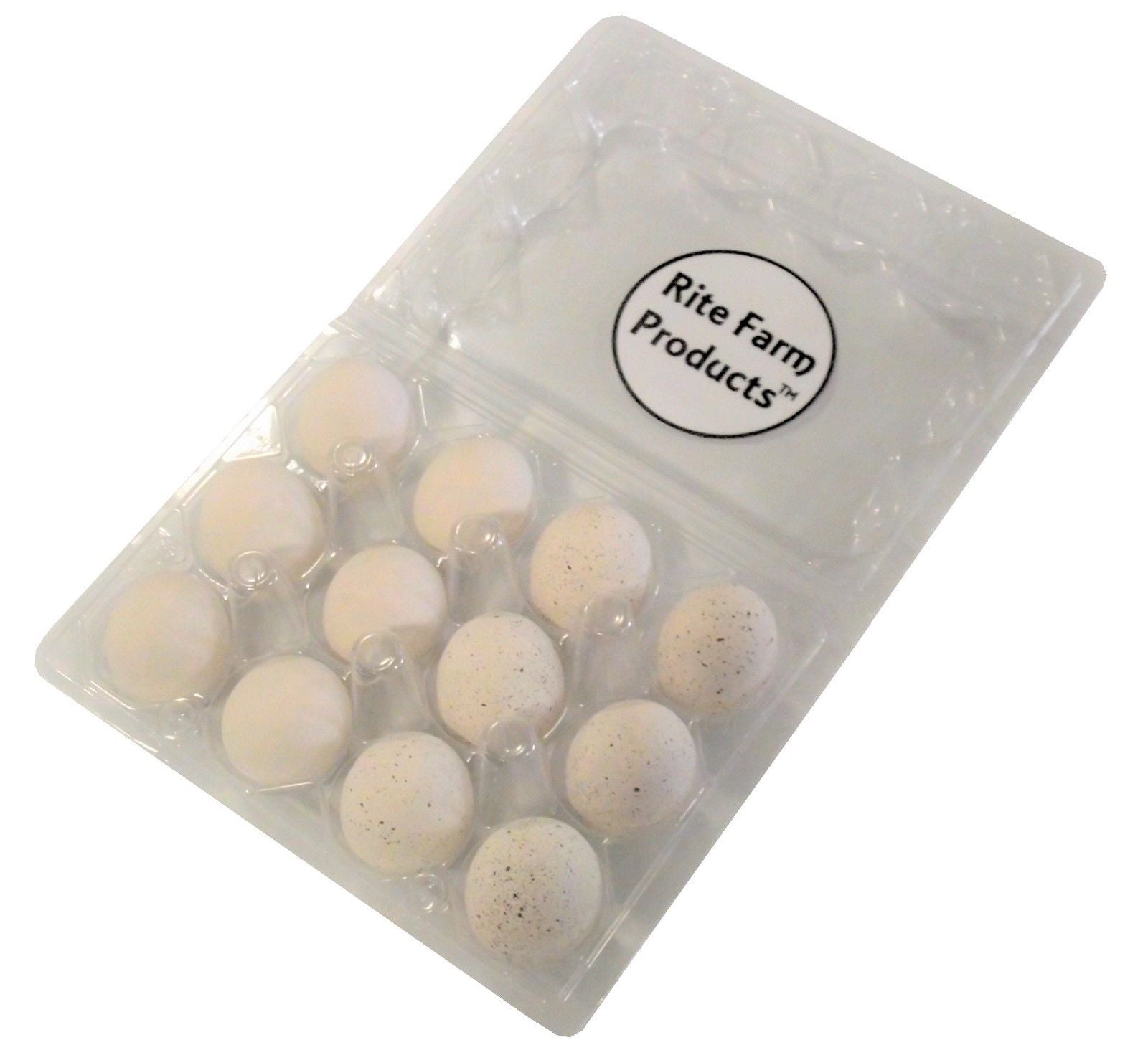 12pk 6 WHITE 6 SPECKLED CERAMIC DUMMY BIRD QUAIL NEST EGG HATCHING CRAFT NESTING