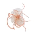 thumbnail image 1 of Qarigey Tocado de malla para mujer, tocado, accesorios de fotografía, banda para el pelo para niña Type10 NO10, 1 of 6
