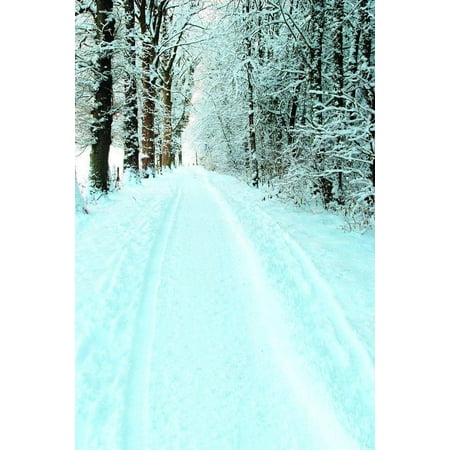 Image of ABPHOTO Polyester White Snow Hoarfrost On Tree Long Path Road Scenery Studio Photography Backdrops 5x7ft