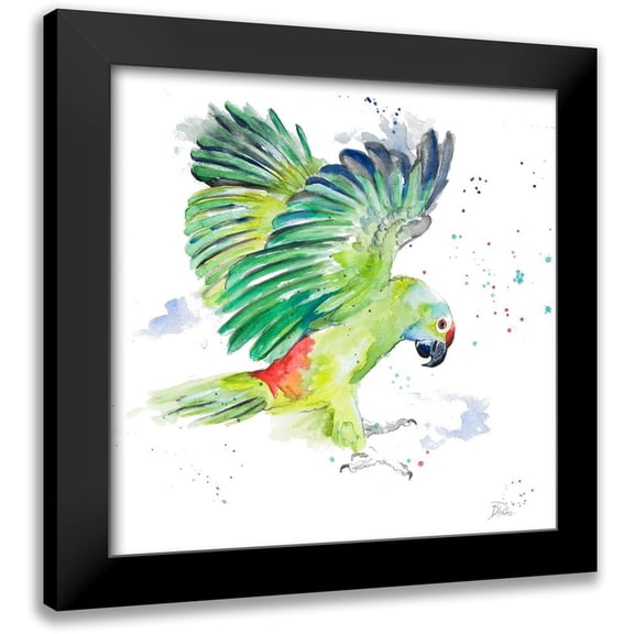 Pinto, Patricia 12x12 Black Modern Framed Museum Art Print Titled - Amazon Parrot I