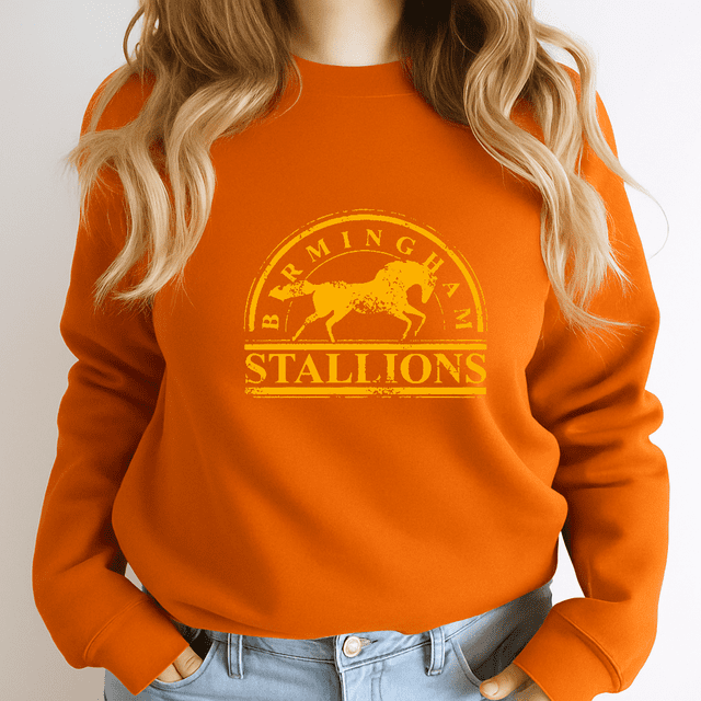Birmingham Stallions Rouge Vintage Rétro USFL Football Sport Fan V60277 Chandail en Molleton Unisexe - Toutes Tailles P à 5TG