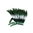 thumbnail image 3 of Tocado de plumas para juegos de rol, espectáculo de Halloween, tocado para hombres y mujeres verde, 3 of 8