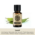 thumbnail image 3 of AKARZ Laurel Essential Oils 0.34 fl.oz./10ml Pure And Naturel Aromatherapy Face Body Skin Care Massage Aroma Perfume Oil, 3 of 7