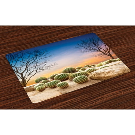 

Cactus Placemats Set of 4 Cactus Balls with Spikes on a Montain Desert Sand Hot Dry Mexican Landscape Photo Washable Fabric Place Mats for Dining Room Kitchen Table Decor Multicolor by Ambesonne