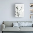 thumbnail image 2 of 1x Studio III 'Eucalyptus Creative 08' Canvas Art, 2 of 4
