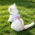 thumbnail image 5 of Comfort Fit Small Cat Vest Harness Non Choke Reflective Safety Design Lightweight Outdoor Walking Accessory Blue XXXS, 5 of 5