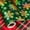 Green - Holographic Gold Snowflakes, variant on Burymento Green Christmas Wrapping Paper, Holographic Gold Snowflake Christmas Gift Wrapping Paper, Reversible Red Tartan Plaid Xmas Gift Wrap for Winter Holiday, Party & Family (17 Inch X 32.8 Feet)