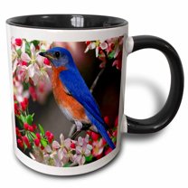 3drose, Beautiful Bluebird N Cherry Blossoms, 11oz Two-tone Black Mug