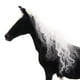 thumbnail image 3 of Figura de simulación de caballo, modelo animal, adorno para el hogar, muñeco de peluche, juguete para niños Negro, 3 of 9