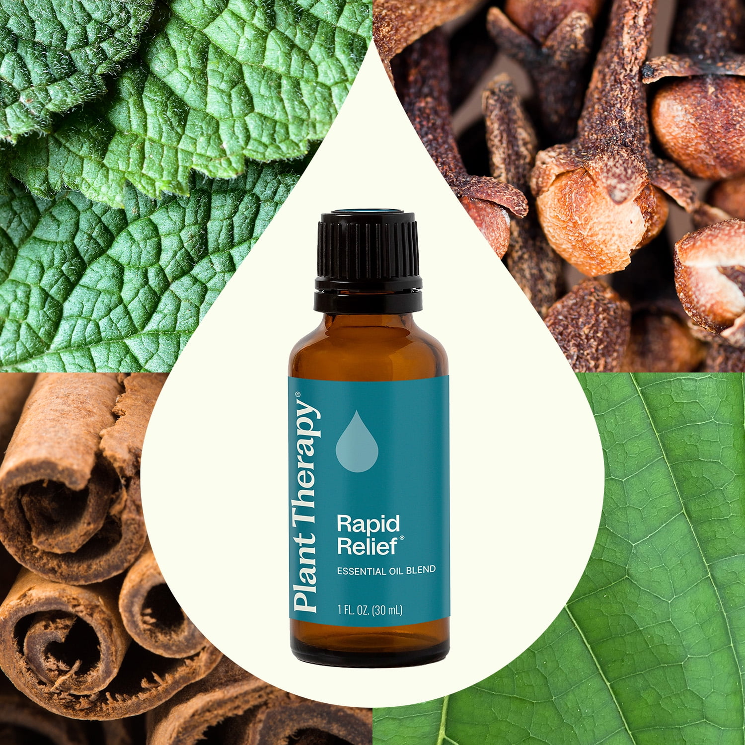 Plant Therapy Rapid Relief Essential Oil Blend 30 mL (1 oz) Pain and Soreness Blend 100% Pure, Undiluted, Natural Aromatherapy