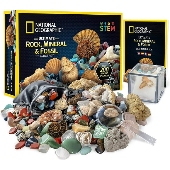 Kit de rocas y fosiles de NATIONAL GEOGRAPHIC: el conjunto d National Geographic NATIONAL GEOGRAPHIC