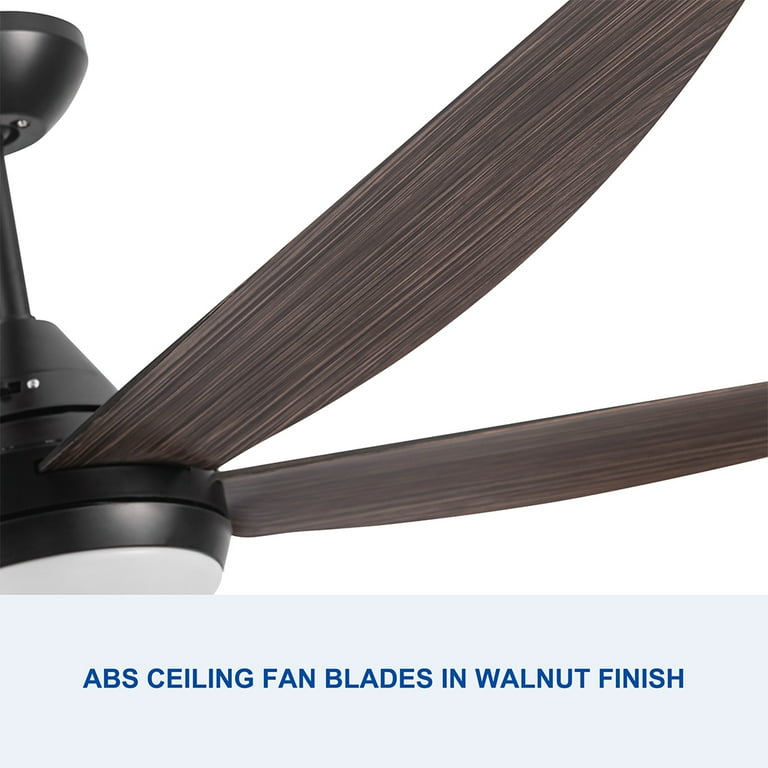 Ceiling Fans With Led Lights Brisbane Shelly Lighting