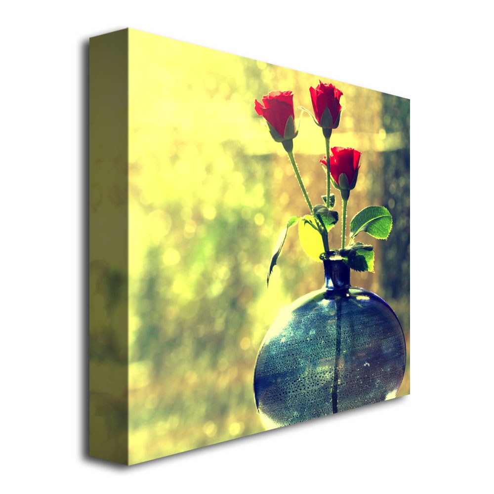Trademark Fine Art "Since Forever" Canvas Art by Beata Czyzowska