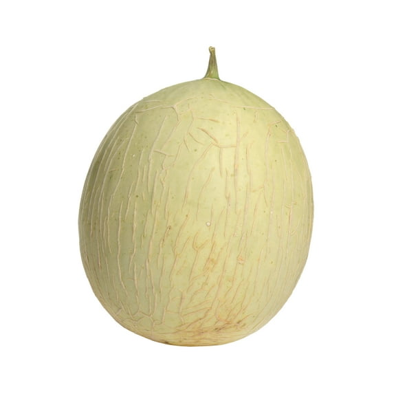 Melon Seeds - Hakucho - Hybrid - 500 Mg Packet ~50 Seeds - Non-GMO, F1 Hybrid - Asian Garden Fruit