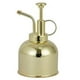 thumbnail image 1 of Apuakthei - Spray para plantas de interior - Botella rociadora de acero inoxidable Spray para plantas de interior - Spray para plantas de interior para rociador de plantas de interior en acero, 1 of 6