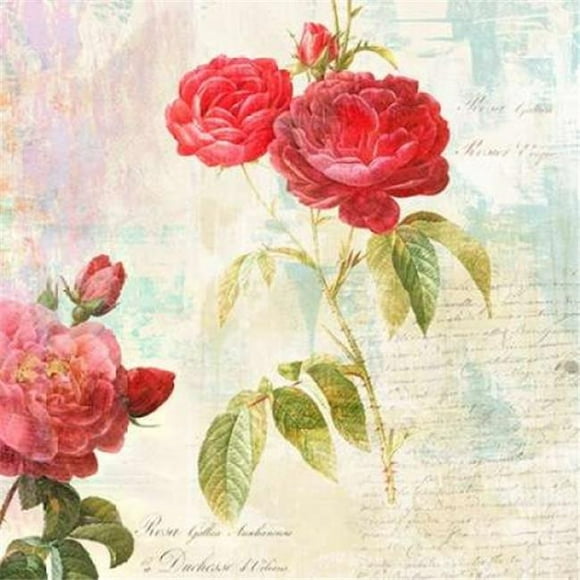Selected Artworks PDX1EH3823LARGE Redoutes Roses 20 - II Affiche Imprimée par Eric Poster&44; 24 x 24 - Grand