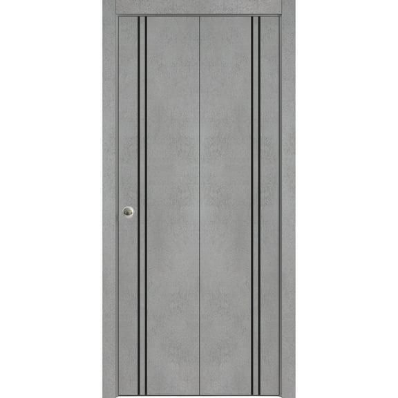 Sliding Closet Bi-fold Doors 36 x 80 inches | Planum 0016 Concrete with Frosted Glass | Sturdy Tracks Moldings Trims Hardware Set | Wood Solid Bedroom Wardrobe Doors