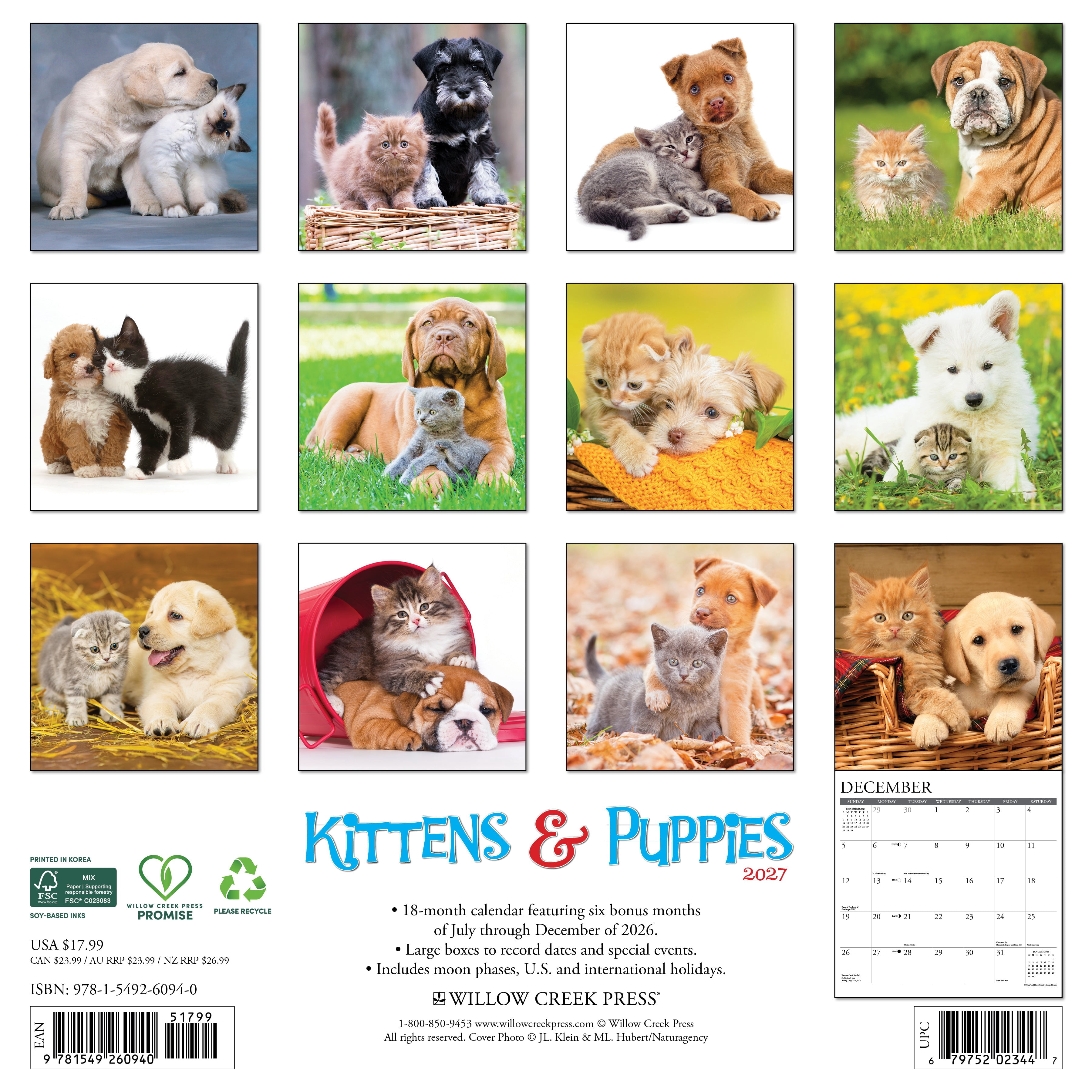 Willow Creek Press, Kittens & Puppies 2027 Wall Calendar