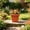 Red, variant on Square Thickened Root Control Pot 20x20x15cm, Plastic Flower Pot for Gardening, Imitation Ceramic Planter for Indoor Outdoor Plants