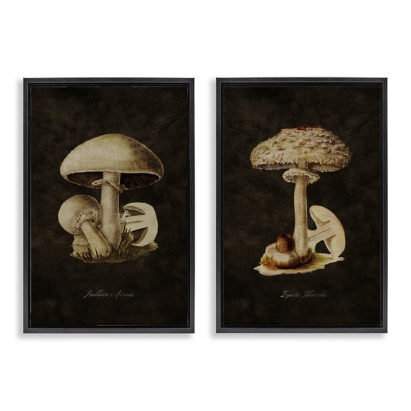 Stupell Industries Vintage Mushrooms on Black Plants & Flowers Painting Black Floater Framed Canvas Art Print Wall Art, 17 x 25, Set of 2