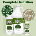 thumbnail image 3 of Liquid 10-10-10 Fertilizer for Trees and Shrubs – Balanced NPK Plus Iron and Micros for Stronger Growth and Healthy Roots, 32 oz, 3 of 5