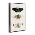 thumbnail image 3 of Stupell Industries Shabby Chic Black Framed Giclee Art, 16 x 24, by Petals Prints Design, 3 of 8