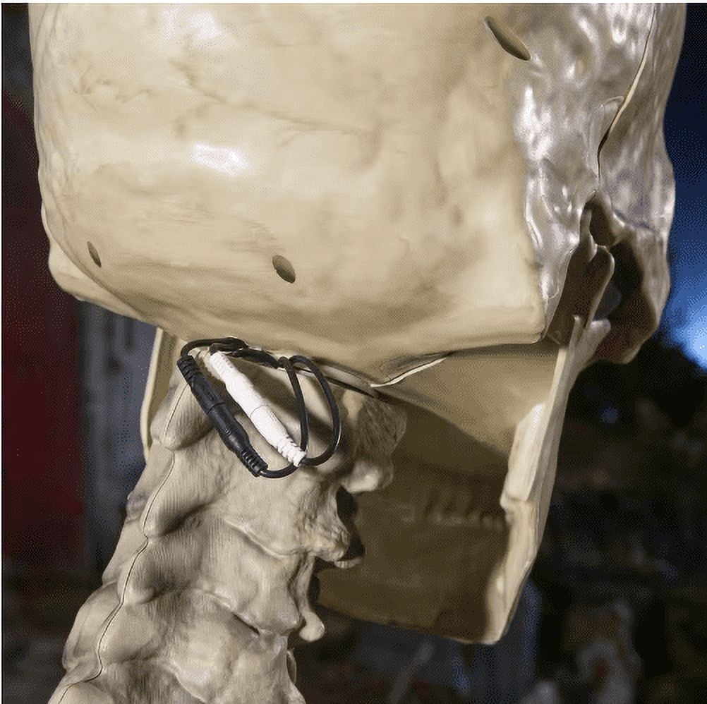 12 ft. Skelly Eye Kit - 8 Function Home Accents Holiday