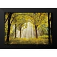 thumbnail image 2 of Van de Goor, Lars 24x17 Black Modern Framed Museum Art Print Titled - Dressed To, 2 of 5