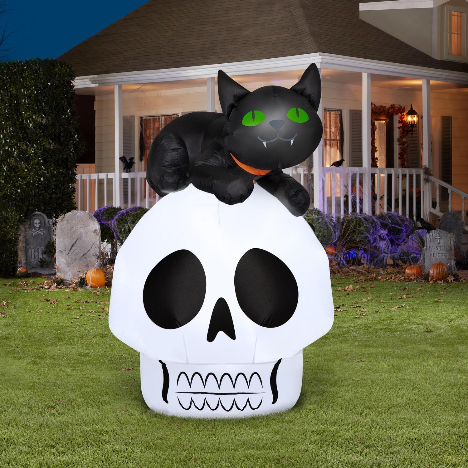 Airblown Skull w/Cat Scene