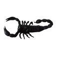 thumbnail image 1 of Accesorio novedoso de goma escorpión negro Dillon Imports 734326809275, 1 of 1
