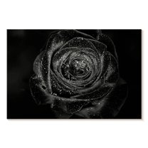 Elephant Stock Black Baccara Rose Wall Art - Horizontal Canvas Wall Art - Living Room Wall Decor - Gothic Canvas - Black And Gray Decor - 12" x 8"