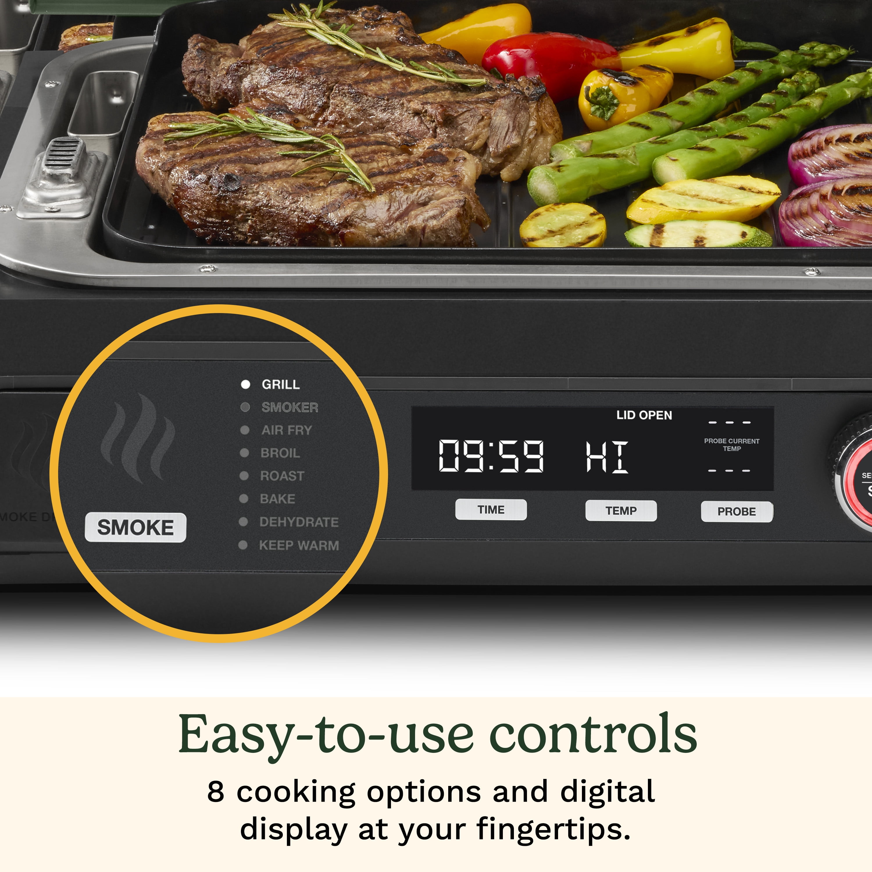 FlavorBoost™ 8-in-1 Outdoor Electric Grill