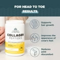 thumbnail image 4 of Collagen Peptides Powder by Ancient Nutrition, Vanilla Hydrolyzed Collagen, Supports Healthy Skin, Joints, Gut, Keto and Paleo Friendly, Vanilla, 8.51 oz, 4 of 7