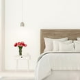 thumbnail image 4 of Rust-Oleum Sure Color Eggshell White Interior Wall Paint and Primer, Gallon, 4 of 4