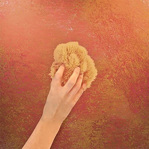 Natural Sea Sponges for Artists - Unbleached 5-5.5 2pc Value Pack: Great  for Painting Decorating Texturing Sponging Marbling Effects Faux Finishes  Crafts & More… 